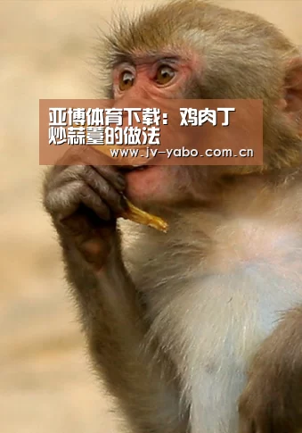 亚博体育下载:鸡肉丁炒蒜薹的做法(图2) 亚博体育下载